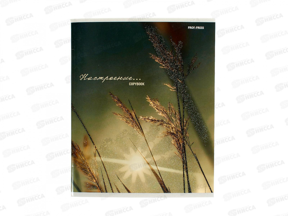 Тетрадь 96л кл. Collezione Настроение и природа