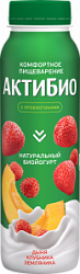 Йогурт Актибио пит. 260г Дыня/клуб/землян (ПРОДУКТ БЕЗ ЗАМЕНИТЕЛЯ МОЛОЧНОГО ЖИРА)